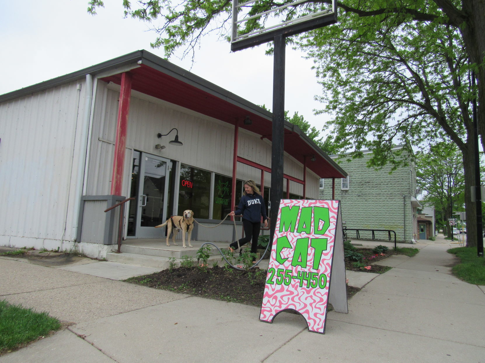 MadCat Pet Supplies